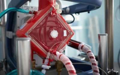 Celebrating the Medical Pioneers who Brought ECMO to the Emergency Department