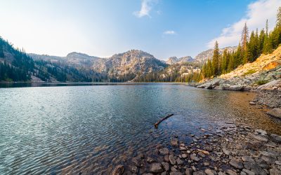 Orthopedic Surgeons needed in Sidney, MT