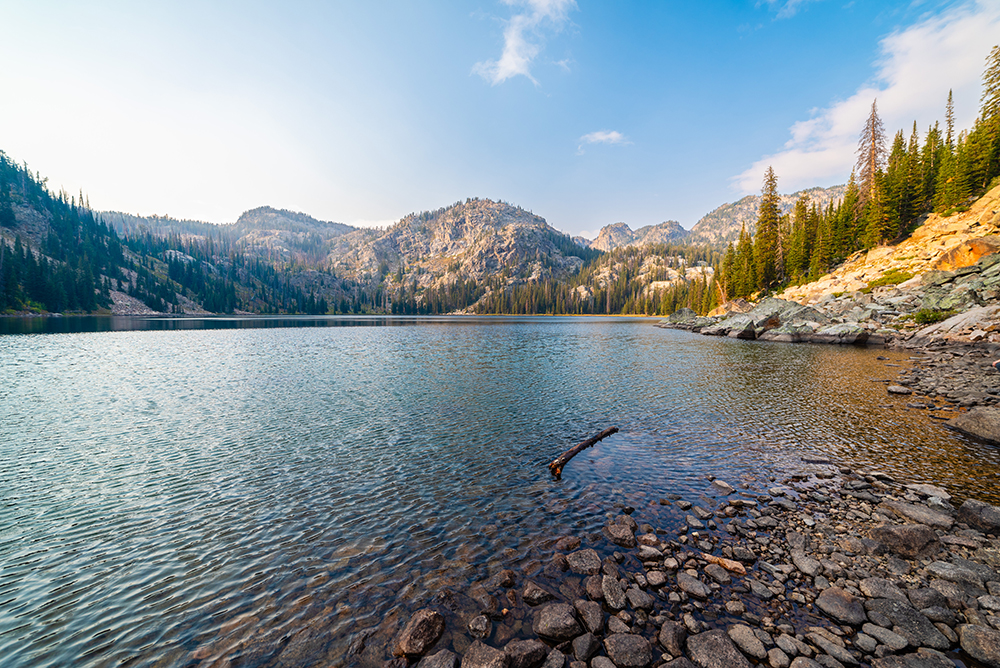 Orthopedic Surgeons needed in Sidney, MT