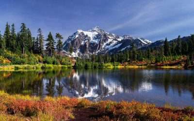 Anesthesia Medical Director · Clarkston, WA