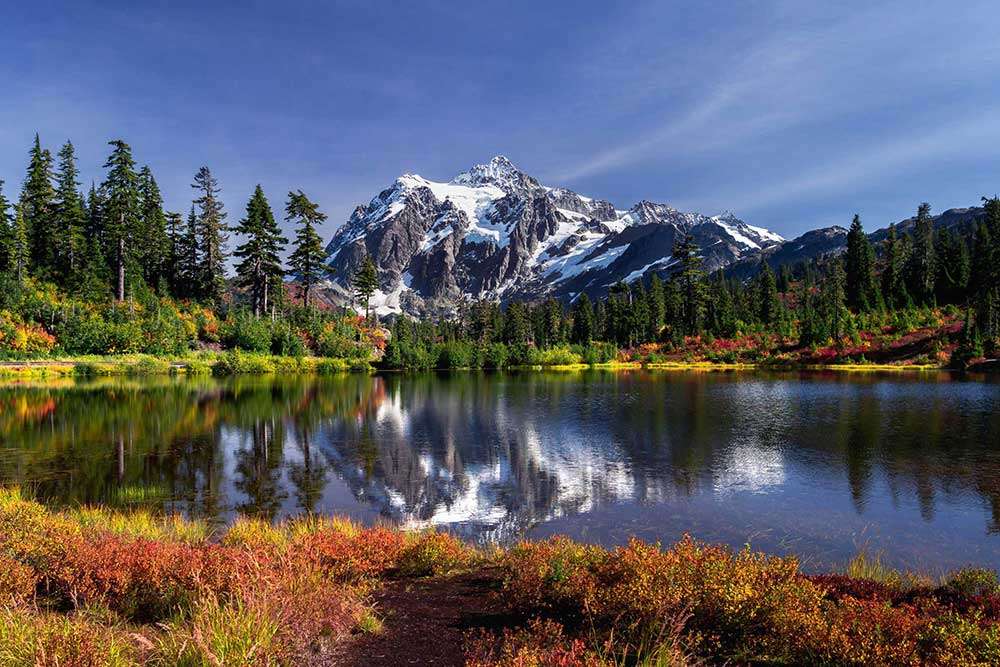 Anesthesia Medical Director · Clarkston, WA