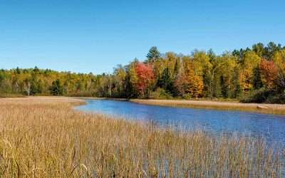 Orthopedic Trauma Surgeon · Neenah, WI · 7-8 days/mo