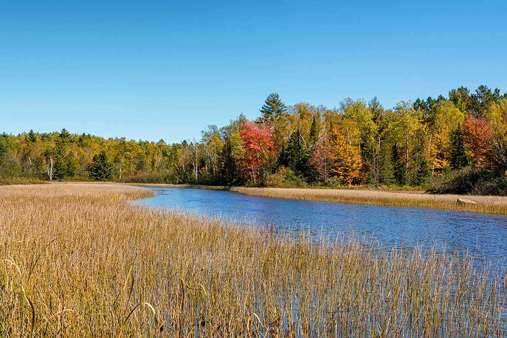 Orthopedic Trauma Surgeon · Neenah, WI · 7-8 days/mo