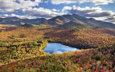 Orthopedic Surgeons Needed in Lowville, NY