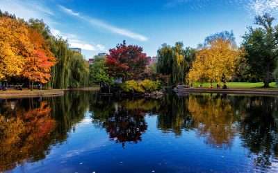 Orthopedic Surgeons Needed Near Boston, MA