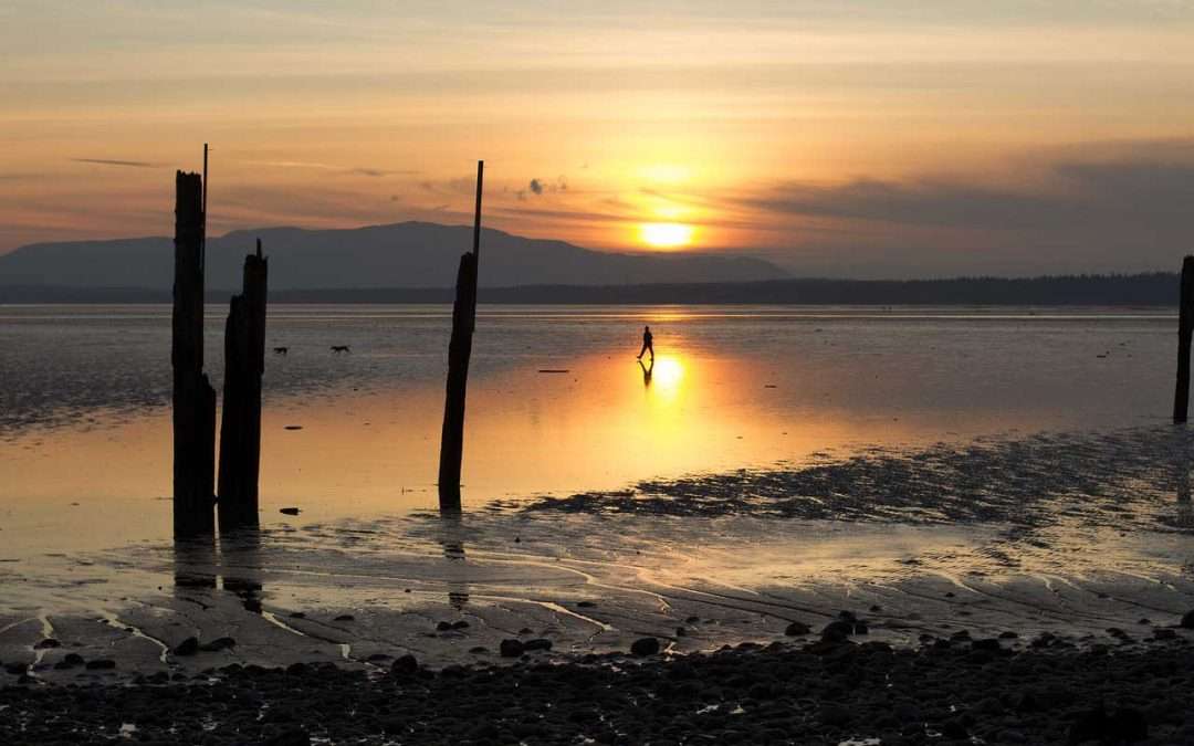 General Surgeon | 7–8 Shifts/mo in Bellingham, WA