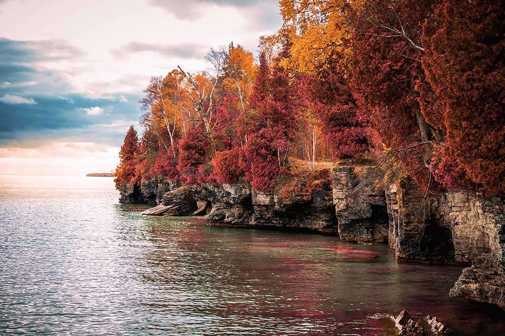 Orthopedic Surgeon · Wausau, WI · 5-7 days/mo