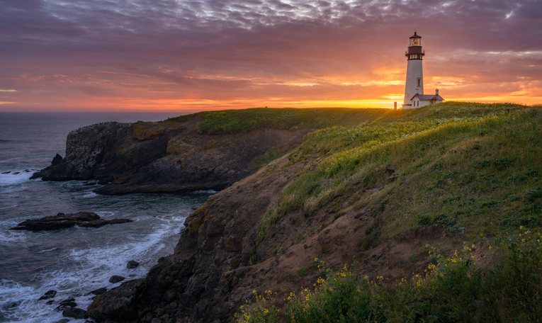Orthopedic Surgery · Lincoln City, OR · 7-10 days/mo