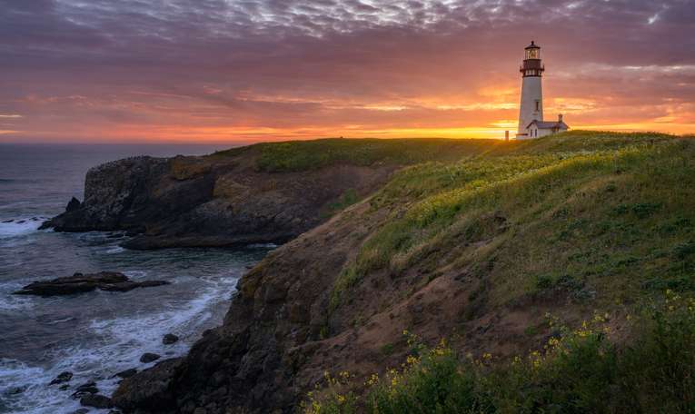 Orthopedic Surgeon · Newport, OR · 7-10 days/mo