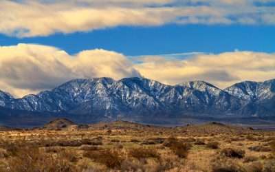 GI Surgicalists Needed in Ridgecrest,CA