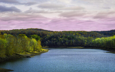 Urologist · West Plains, MO · 7-10 days/mo