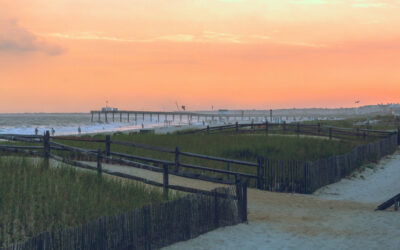Orthopedic Surgeon · Vineland, New Jersey · 7-10 days/mo
