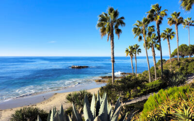PRN Cardiac Anesthesiologist | Orange County, CA