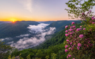 Orthopedic Surgeon · Kingwood, WV · 7-10 days/mo