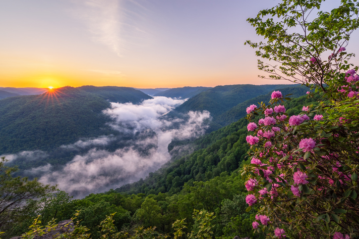 Orthopedic Surgeon · Kingwood, WV · 7-10 days/mo
