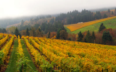 Travel Allowance Added · GI ERCP · Corvallis, OR