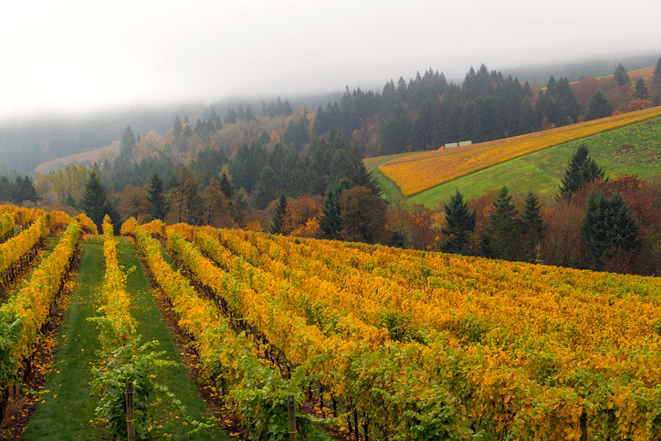 Travel Allowance Added · GI ERCP · Corvallis, OR