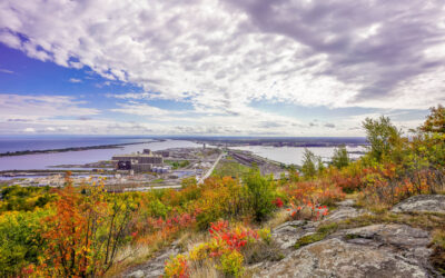 Orthopedic Trauma Surgeon · Duluth, MN · 7–10 days/mo