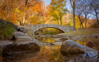 Orthopedic Surgeon · Mason City, IA · 7-10 days/mo