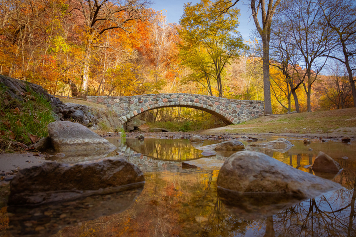 Orthopedic Surgeon · Mason City, IA · 7-10 days/mo